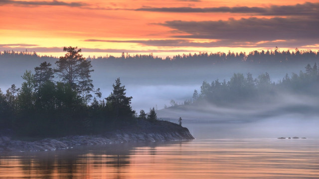 Lake forest fog sunset clouds free wallpaper for desktop - medium preview image