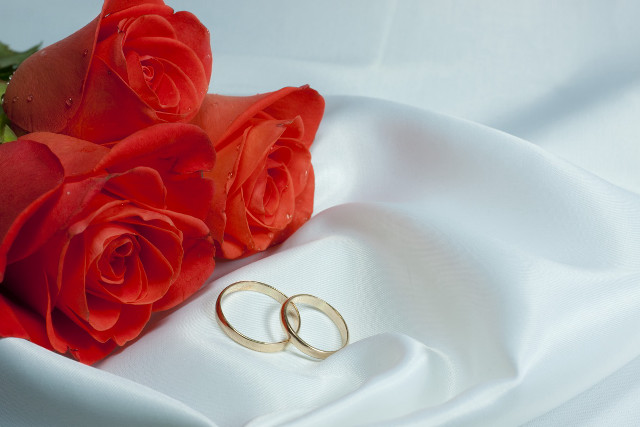 Wedding rings roses white cloth free wallpaper for desktop - medium preview image