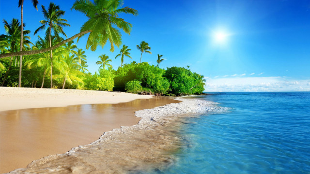 Beach sand palm trees ocean free wallpaper for desktop - medium preview image