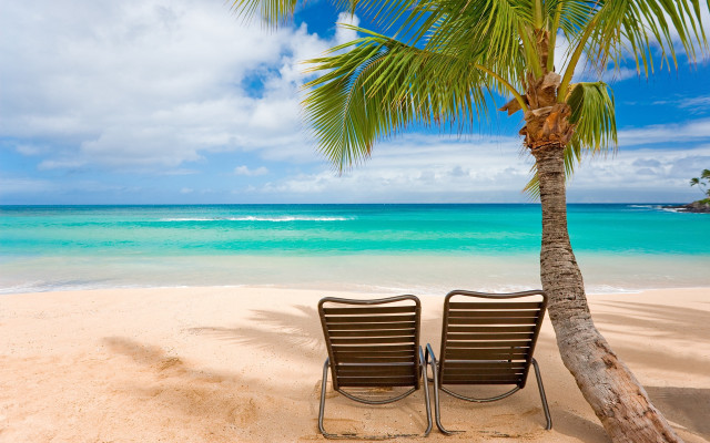 Two chairs beach palm tree #6 free wallpaper for desktop - medium preview image