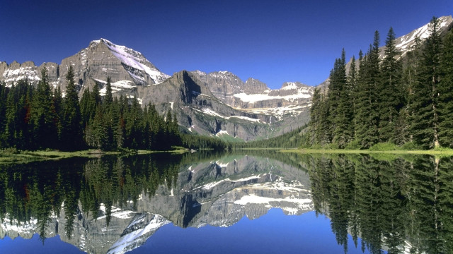 Mountain reflection pine trees lake free wallpaper for desktop - medium preview image