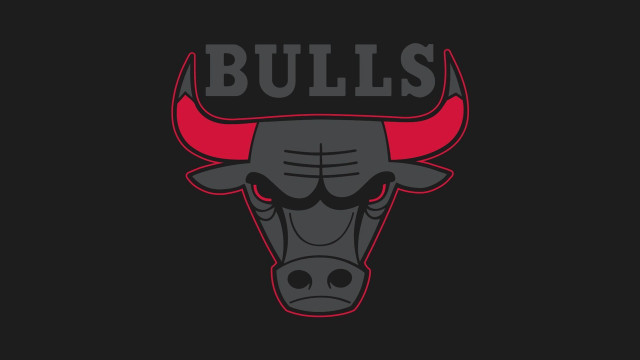 Bulls logo bulls head design free wallpaper for desktop - medium preview image