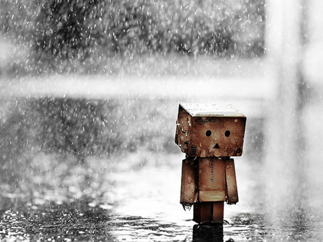 Little robot rain street umbrella free wallpaper for desktop - medium preview image