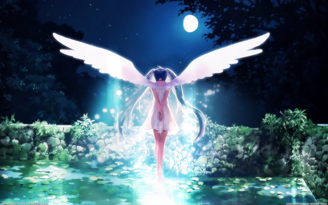 Woman wings forest night full free wallpaper for desktop - medium preview image