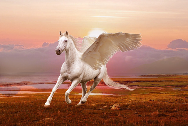 White horse winged running field free wallpaper for desktop - medium preview image