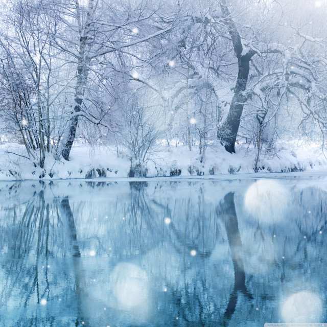Snowy lake trees snowflakes water free wallpaper for tablet - medium preview image