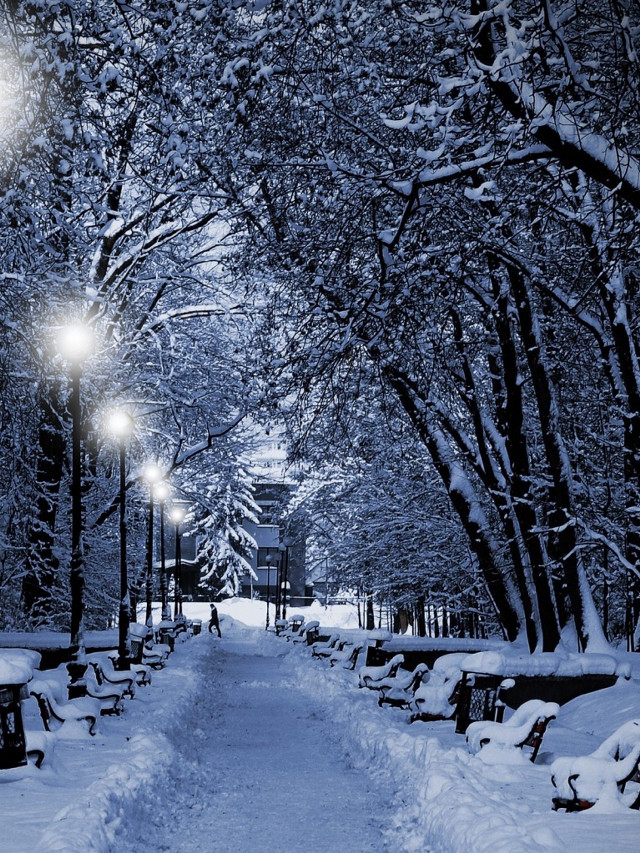 Snowy path benches street lights free wallpaper for mobile - medium preview image