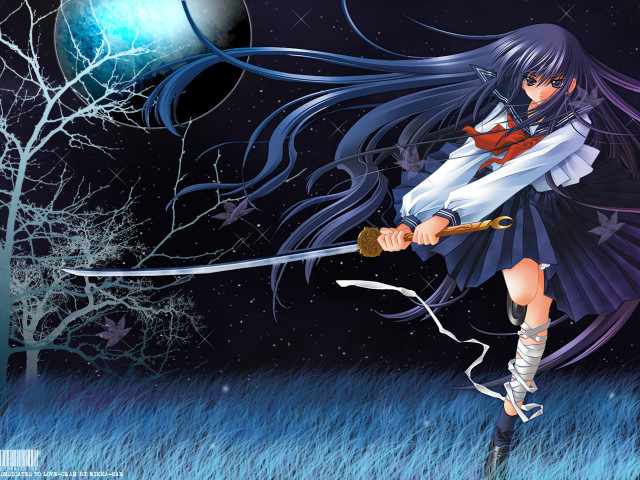 Girl long hair sword field free wallpaper for desktop - medium preview image