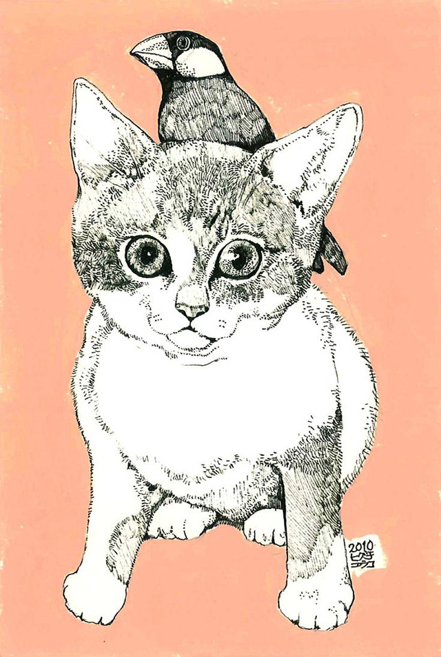 Cat bird on head bird free wallpaper for mobile - medium preview image