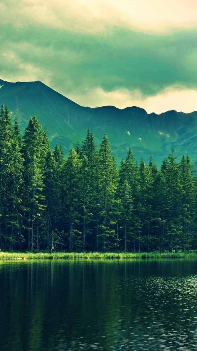 Lake trees mountains cloudy sky #4 free wallpaper for mobile - medium preview image