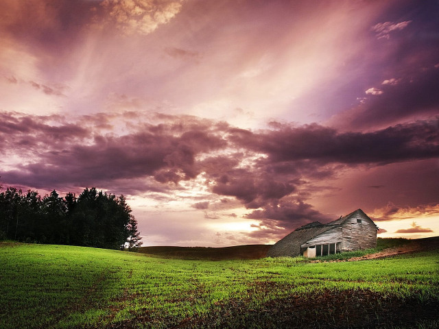 House field cloudy sky tree free wallpaper for desktop - medium preview image