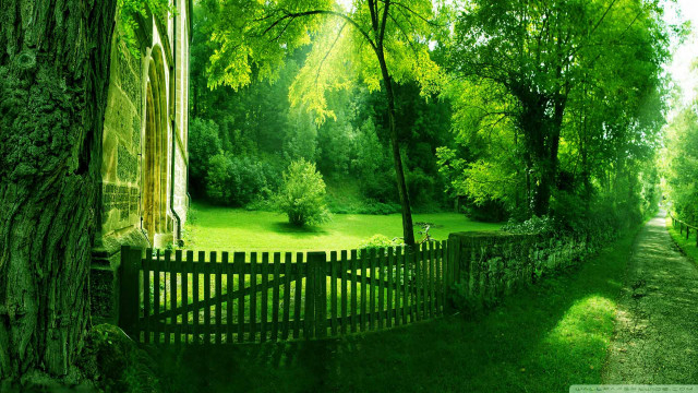 Green landscape wooden fence tree free wallpaper for desktop - medium preview image