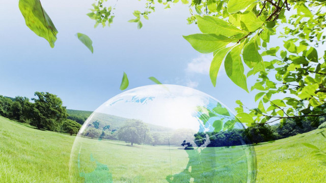 Bubble field trees person foreground free wallpaper for desktop - medium preview image