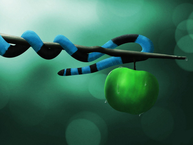 Green apple black blue snake free wallpaper for desktop - medium preview image