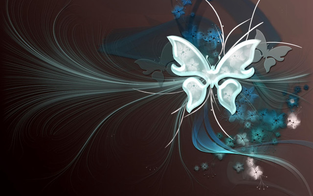 Blue white butterfly black background free wallpaper for desktop - medium preview image