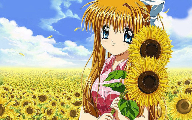 Girl holding sunflower field sky free wallpaper for desktop - medium preview image