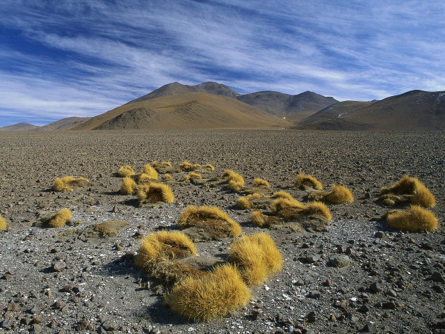 Desert grass mountains blue sky free wallpaper for desktop - medium preview image