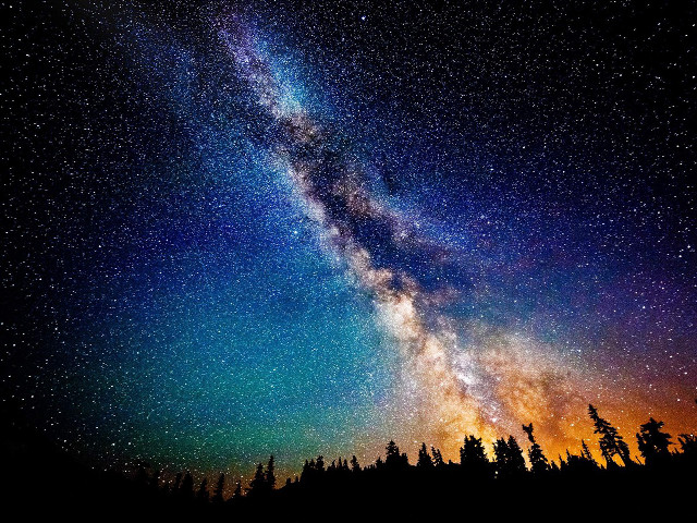 Night sky bright star tree #2 free wallpaper for desktop - medium preview image