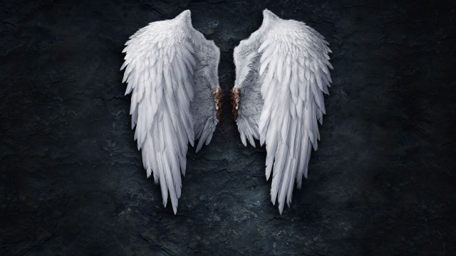 Wings black background white background free wallpaper for desktop - medium preview image