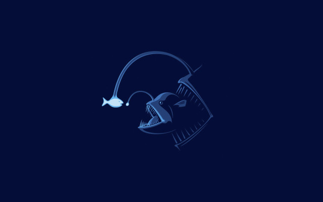 Fish swimming water night light free wallpaper for desktop - medium preview image
