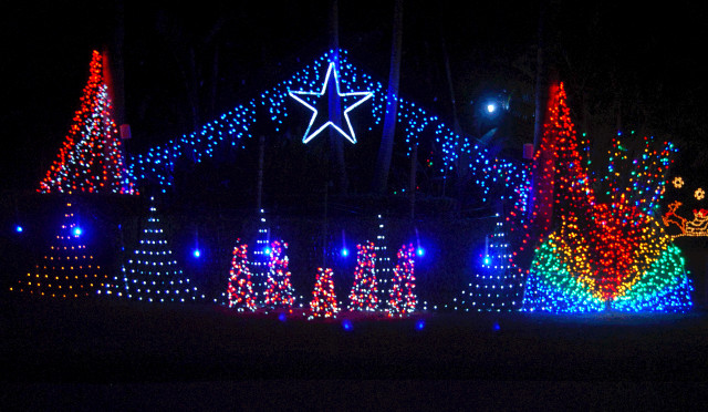 Christmas lights park night star free wallpaper for desktop - medium preview image