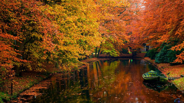 Boat water forest orange leaves free wallpaper for desktop - medium preview image