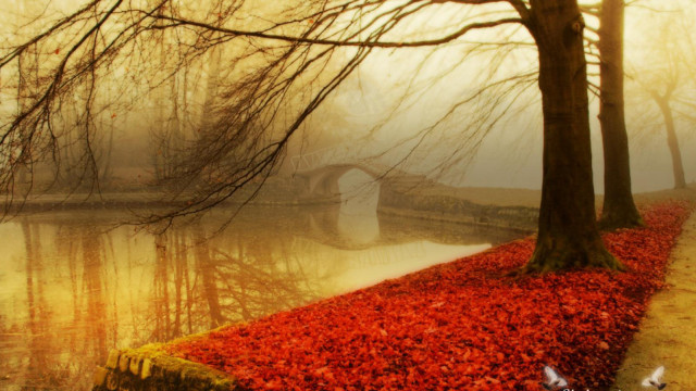 River bridge red leaves trees free wallpaper for desktop - medium preview image