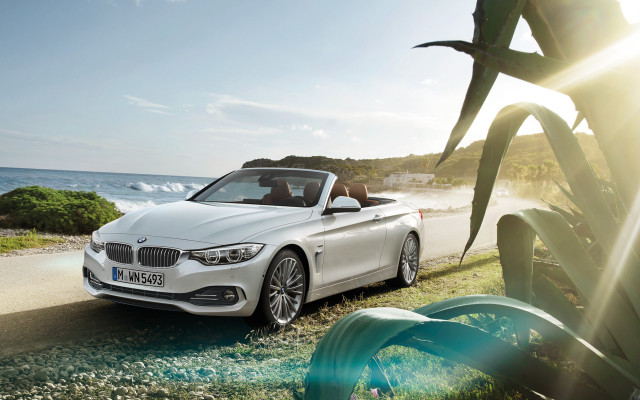 White car ocean pine tree free wallpaper for desktop - medium preview image