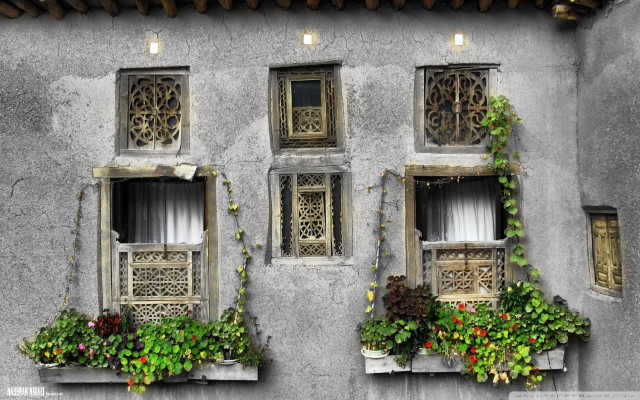 Building windows plants lights growing free wallpaper for desktop - medium preview image