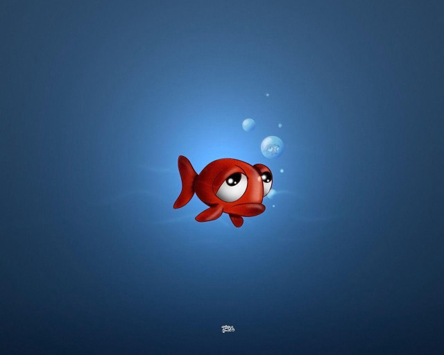Red fish big eyes swimming #4 free wallpaper for desktop - medium preview image