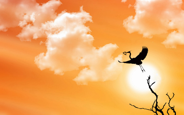 Bird flying sunset clouds tree free wallpaper for desktop - medium preview image