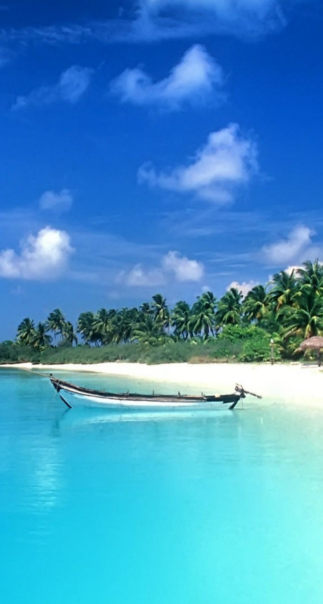 Boat beach water tropical island free wallpaper for mobile - medium preview image