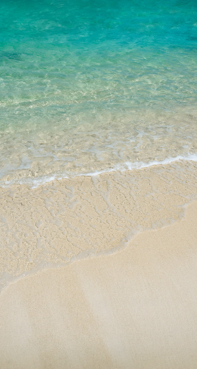 Beach blue ocean sandy shore free wallpaper for mobile - medium preview image