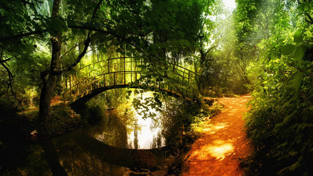 Bridge stream forest path water free wallpaper for desktop - medium preview image