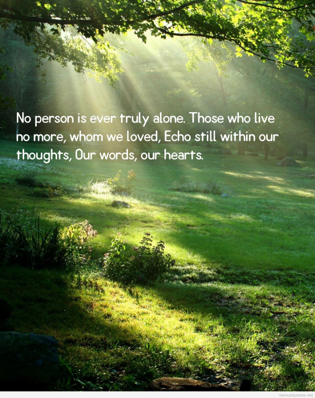 Sunny day woods quote light free wallpaper for mobile - medium preview image