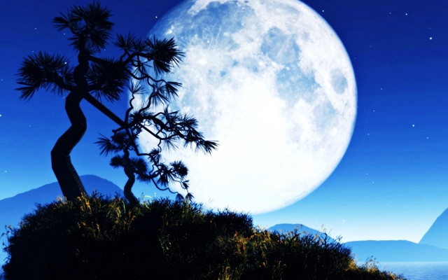 Full moon tree mountains blue free wallpaper for desktop - medium preview image