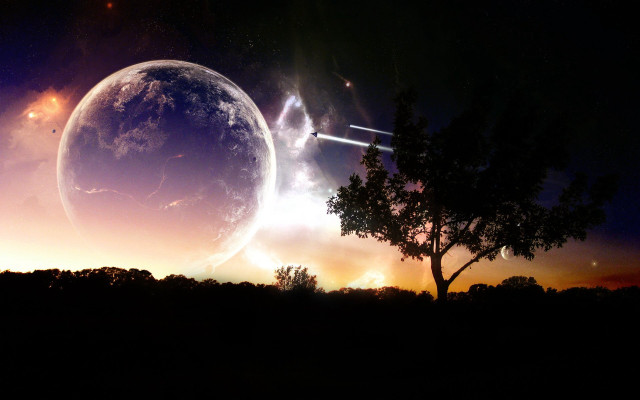 Plane tree night sky planet free wallpaper for desktop - medium preview image