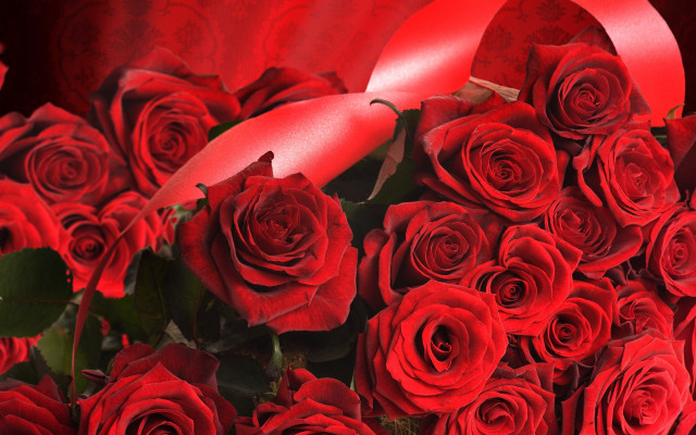 Red roses red ribbon red free wallpaper for desktop - medium preview image