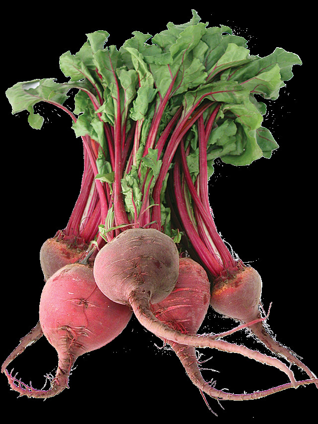 Radishes leaves liquid tube computer free wallpaper for mobile - medium preview image