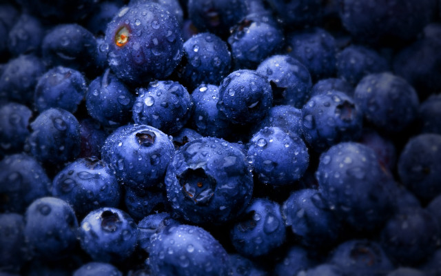 Blueberries waterdroplets yelloweye macro blurry free wallpaper for desktop - medium preview image