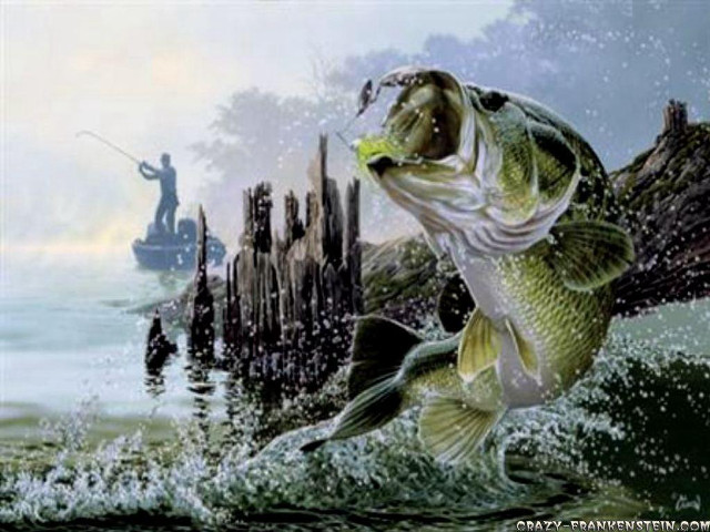 Fish jumping water fishing rod free wallpaper for desktop - medium preview image