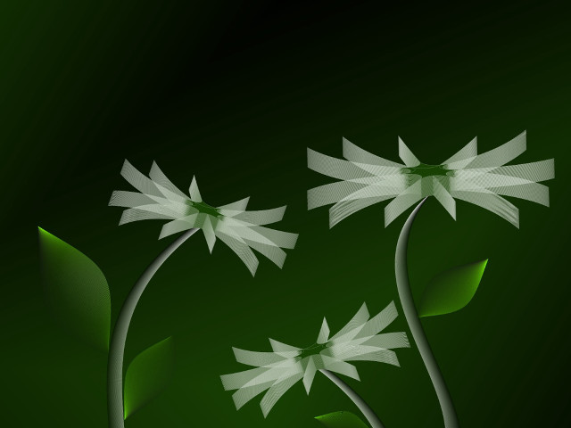 Green background white flowers leaves #3 free wallpaper for desktop - medium preview image