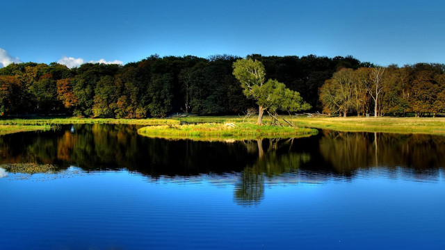 Lake forest bridge building clouds free wallpaper for desktop - medium preview image