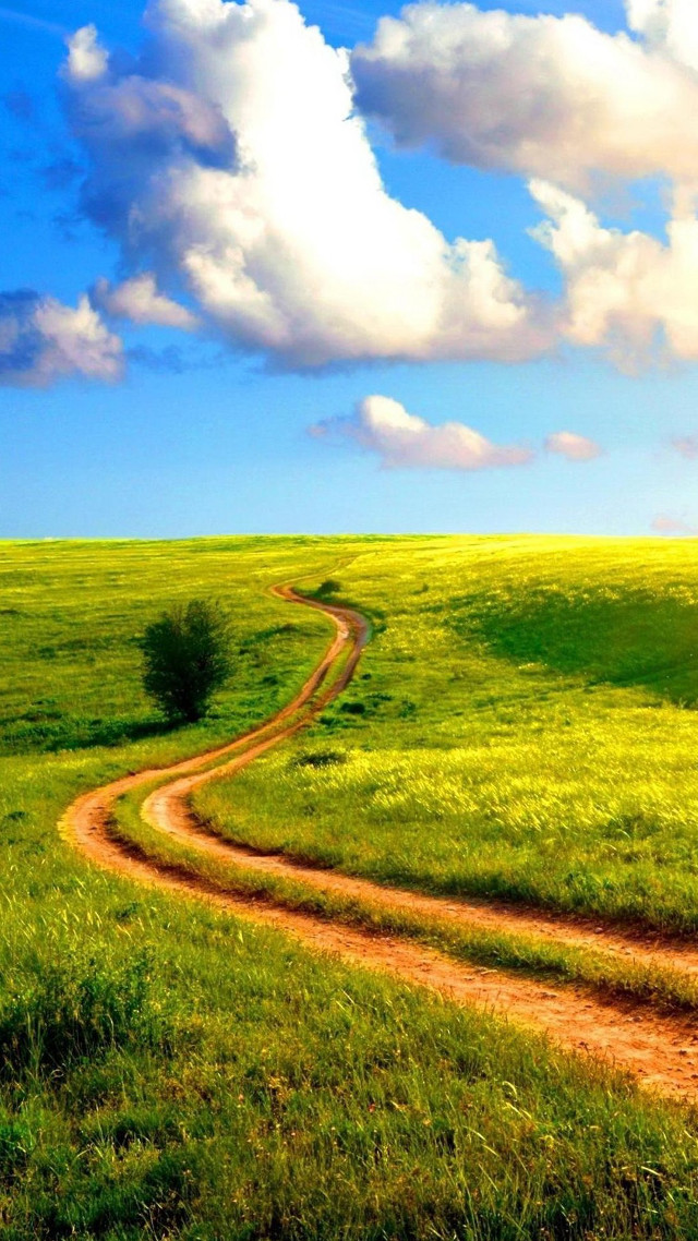 Dirt road green field cloudy #12 free wallpaper for mobile - medium preview image