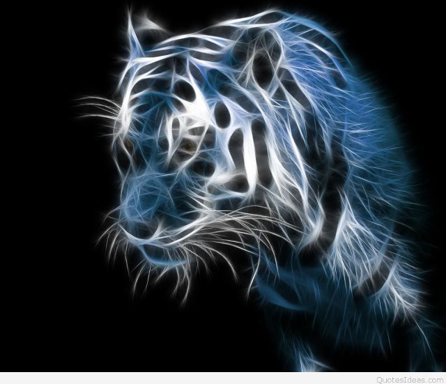 White tiger black background blue free wallpaper for desktop - medium preview image