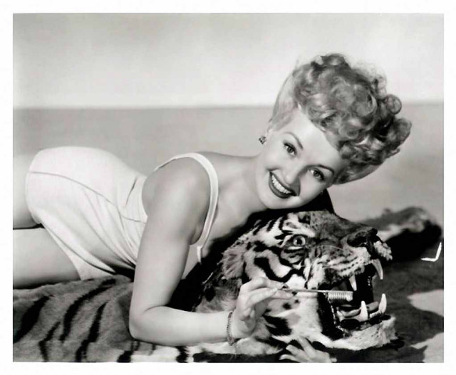 Woman holding stuffed tiger smiling free wallpaper for desktop - medium preview image