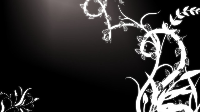 Black white flower light background free wallpaper for desktop - medium preview image