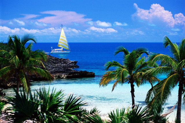 Sailboat ocean palm trees rocky free wallpaper for desktop - medium preview image
