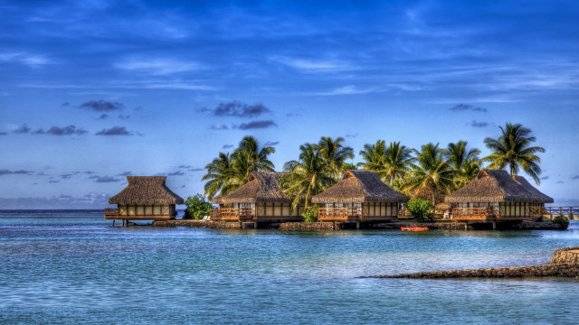 Huts beach ocean palm trees free wallpaper for desktop - medium preview image