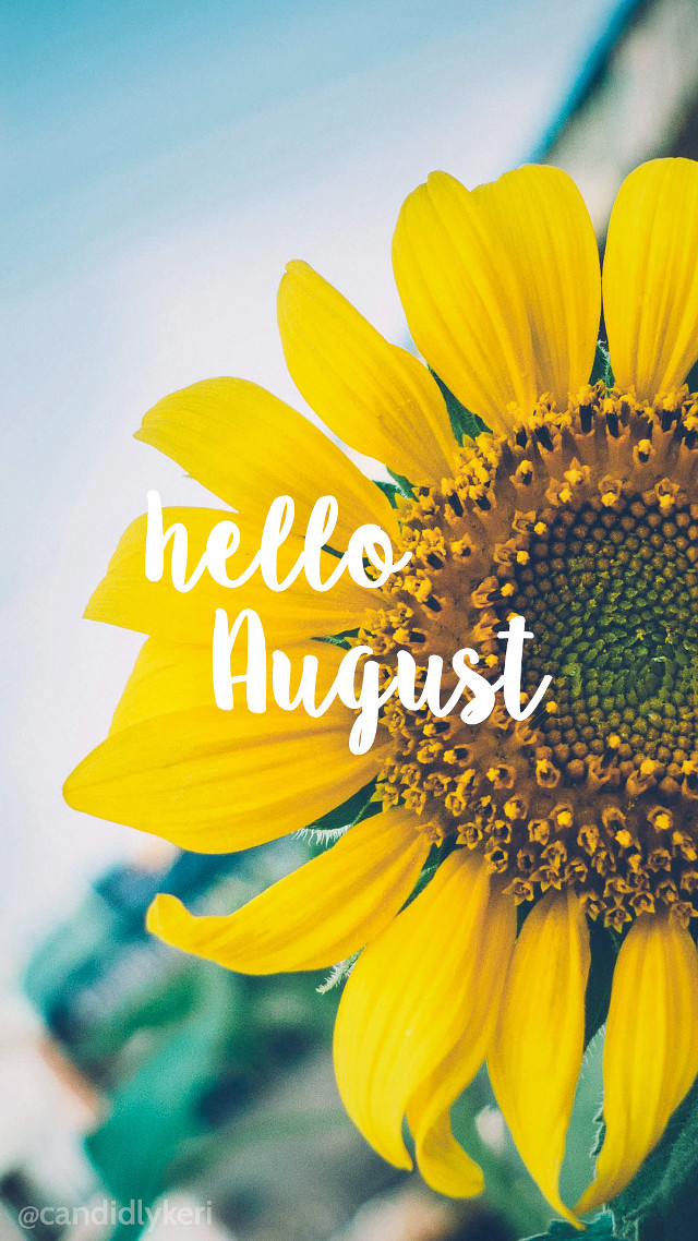 Yellow sunflower hello august blue free wallpaper for mobile - medium preview image